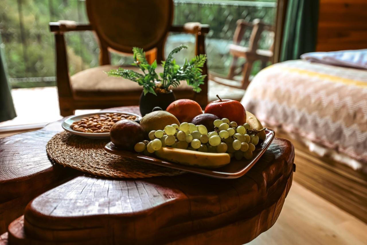 Bungalove Tatil Koeyue Çamlıhemşin Zewnętrze zdjęcie
